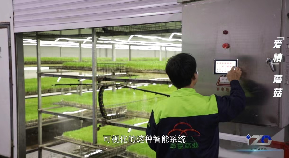 我有一根“蘑”法棒 人工智能基础软件开辟科创Z世代新天地