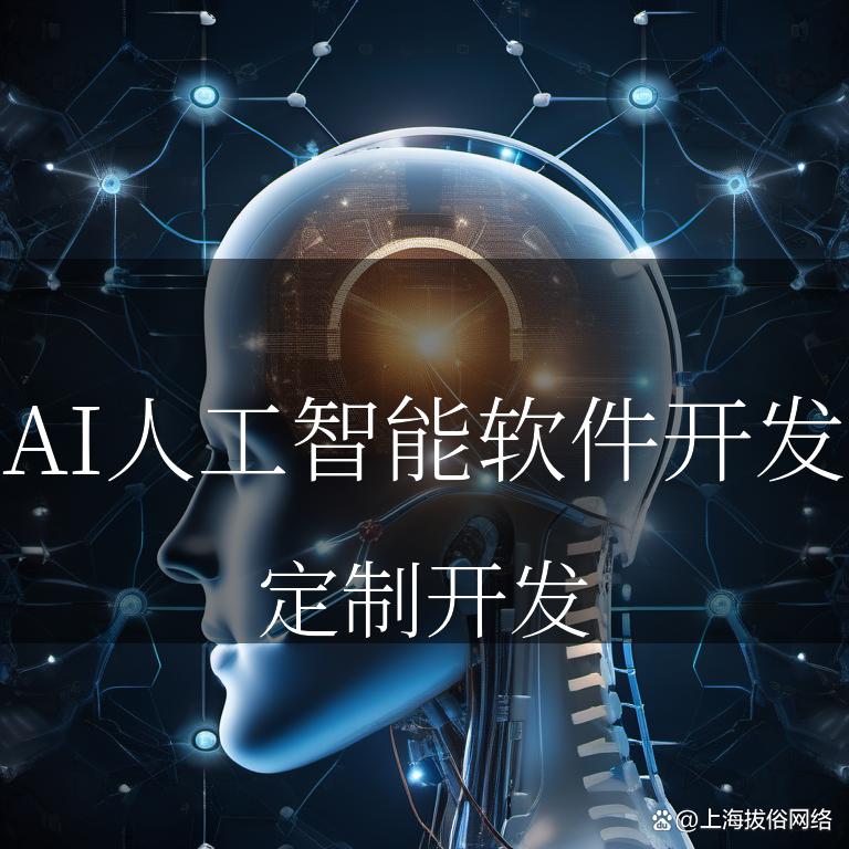 智慧之光，照亮未来 人工智能基础软件开发